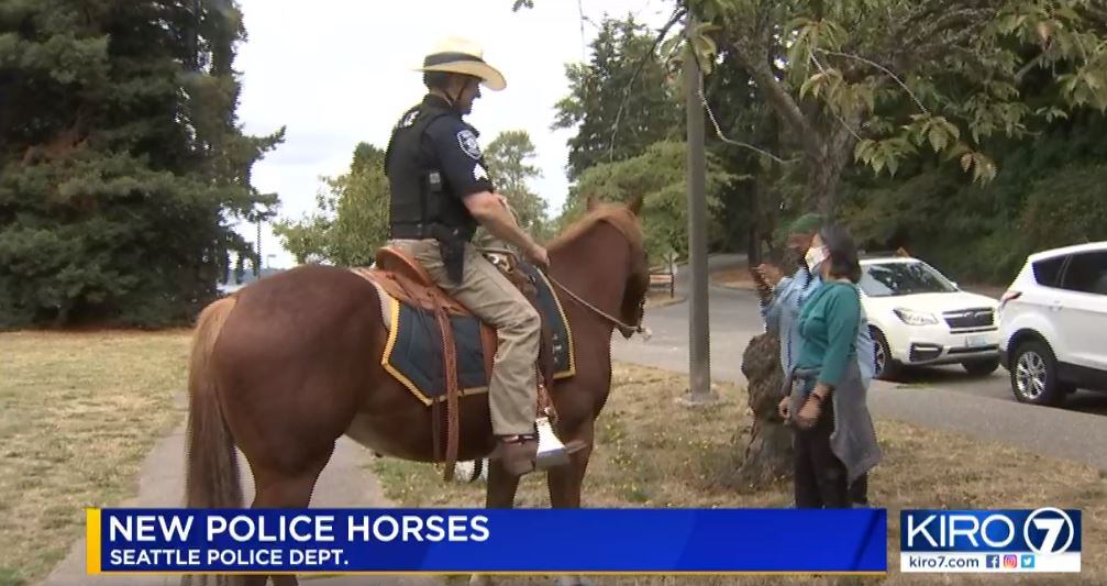 SPD gets two new police horses