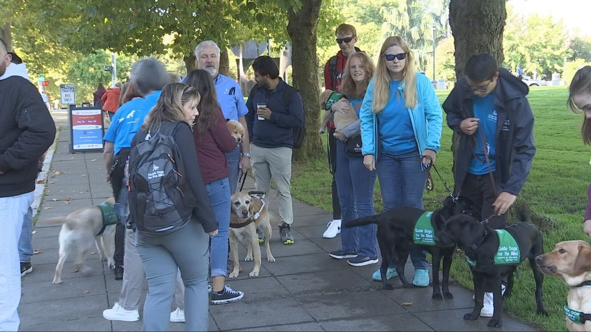 Guide-puppies training on King County Metro