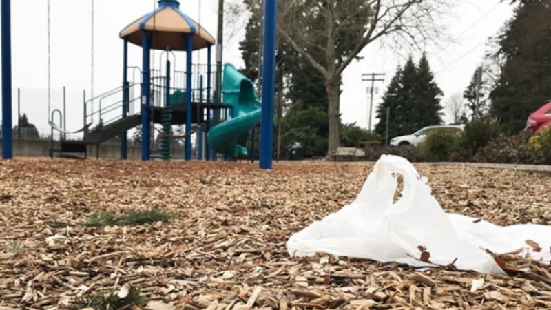 Carryout bag fees increasing in 2026 as WA continues to push reusable options