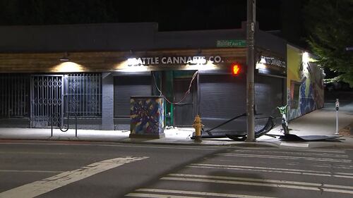 A car crashed into a Seattle cannabis shop early Thursday in an apparent burglary.