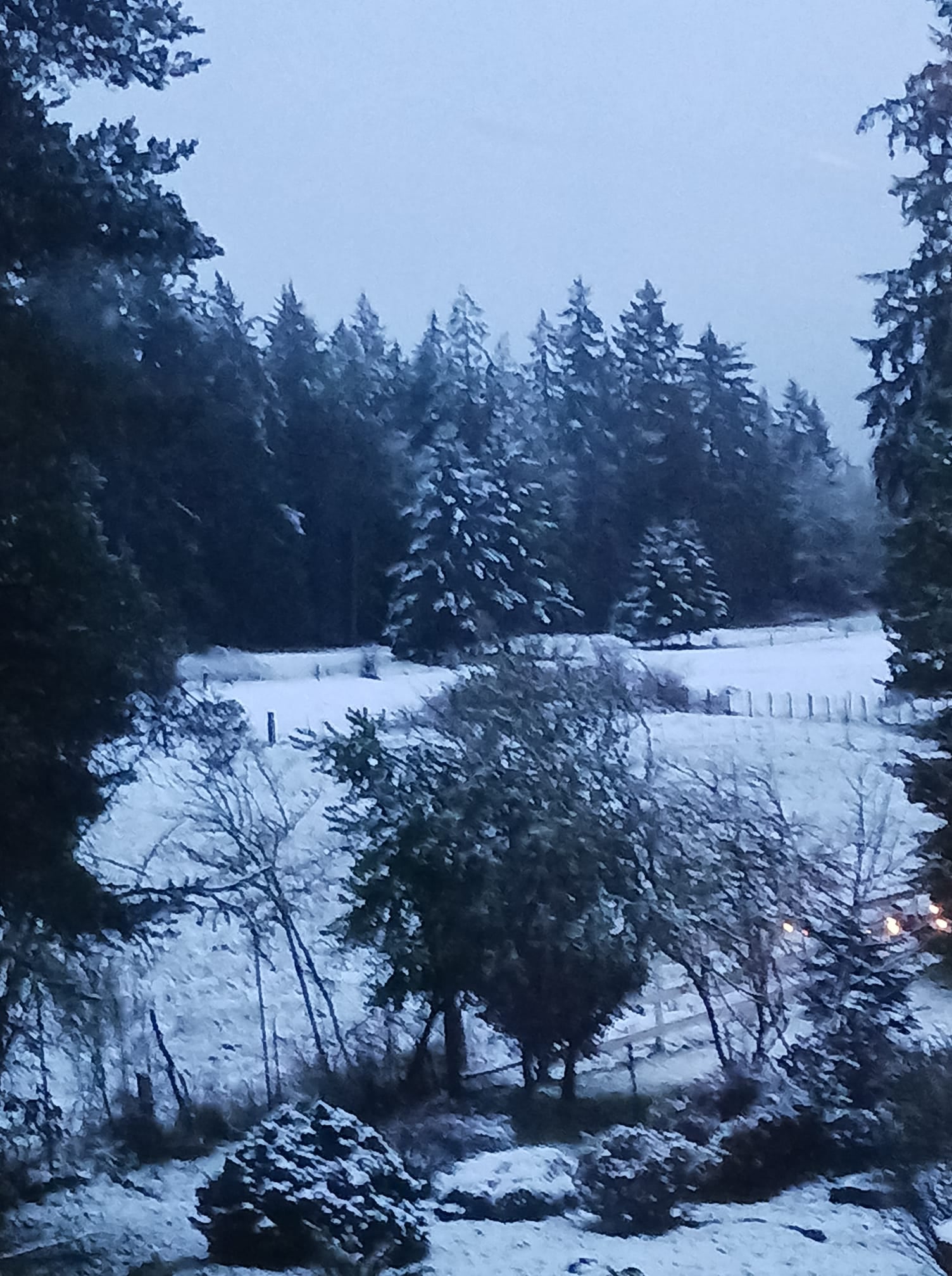 Snow in Graham, WA