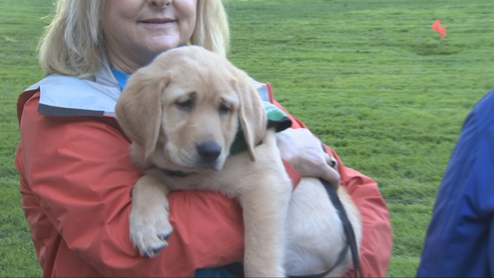 Guide-puppies training on King County Metro