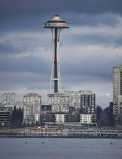<p>West Seattle resident Molly Magnifico spotted these Orca whales near the Space Needle on January 13, 2018. Her Instagram and Twitter handle is @saltypuma.</p>