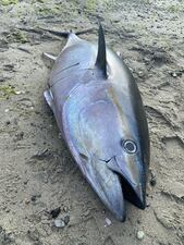 Photo Credit: SeaDoc Society