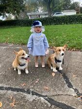 Jalayne, 2, poses as Queen Elizabeth II on Halloween, 2021.