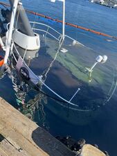 The Coast Guard, Washington Department of Ecology and other agencies respond to the vessel North American after it sank at a pier in Seattle May 14, 2024. The cause of the incident is under investigation. (U.S. Coast Guard Photo Courtesy of Coast Guard Sector Puget Sound)