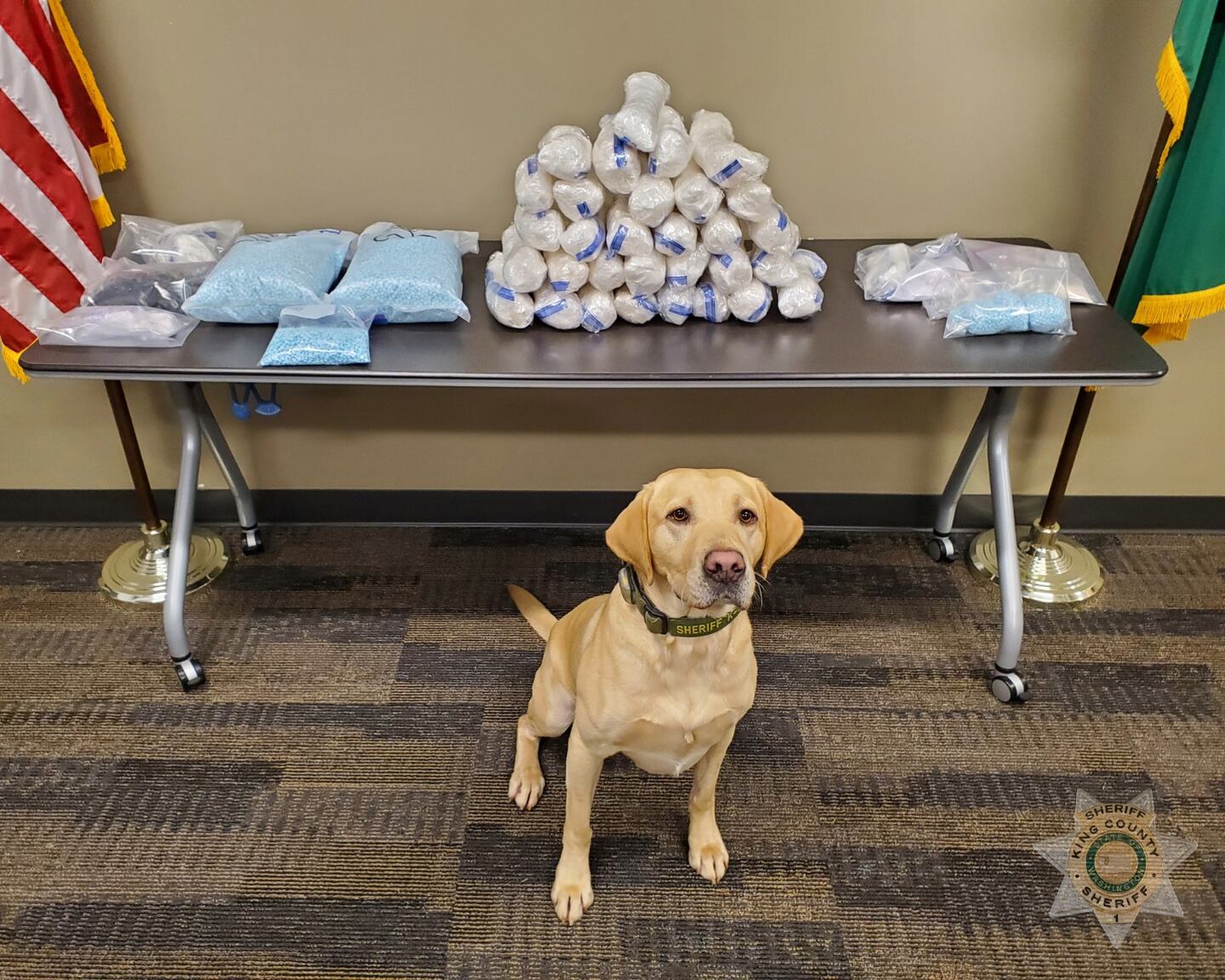 The operation targeted a Drug Trafficking Organization responsible for distributing narcotics to White Center, Shoreline, Renton, Seattle, Marysville, Woodinville, Kirkland, Tulalip, Mt. Vernon, Des Moines, and Snohomish County.