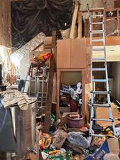 Nine shepherd-mix dogs were found inside a filthy, trash-filled home in the small Mason County community of Tahuya with their owner, who had been dead for 12 days.