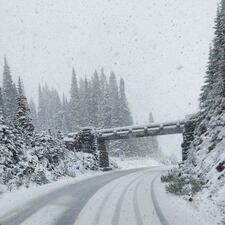 Snow along SR 410 at the Chinook Pass.