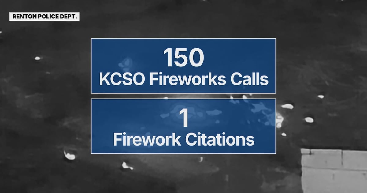 Hundreds of illegal fireworks were reported over the weekend, but only a handful led to citations