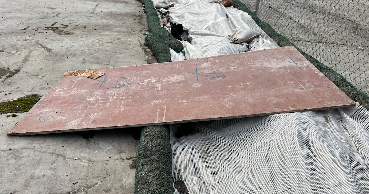 Sheets of plywood fall from roof of construction site in South Lake Union