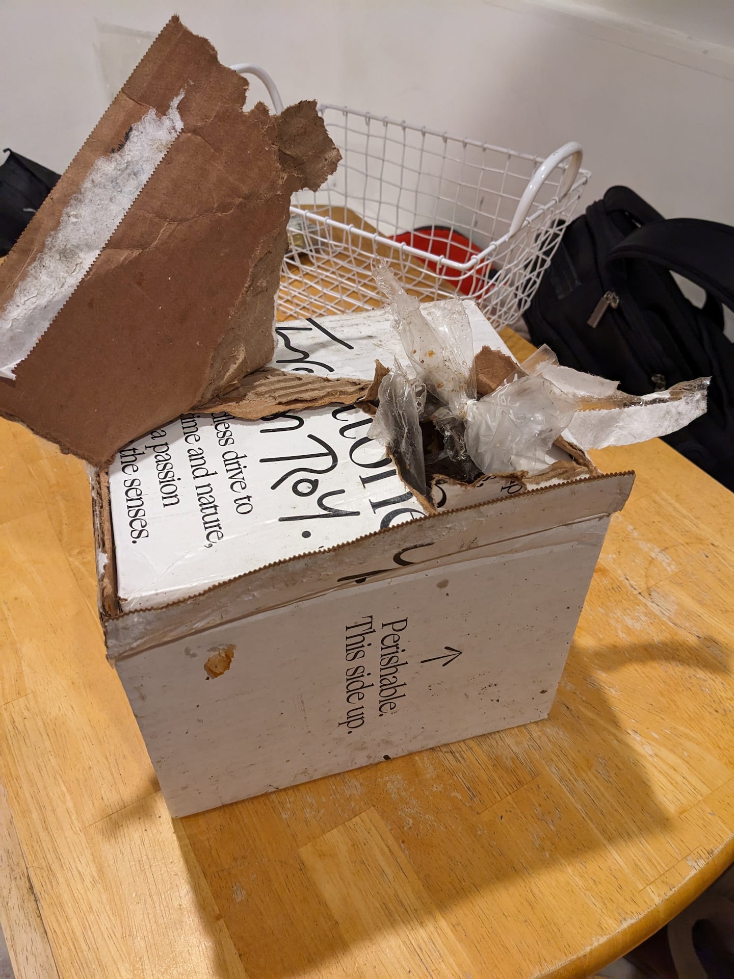 Raccoon porch pirates get into package