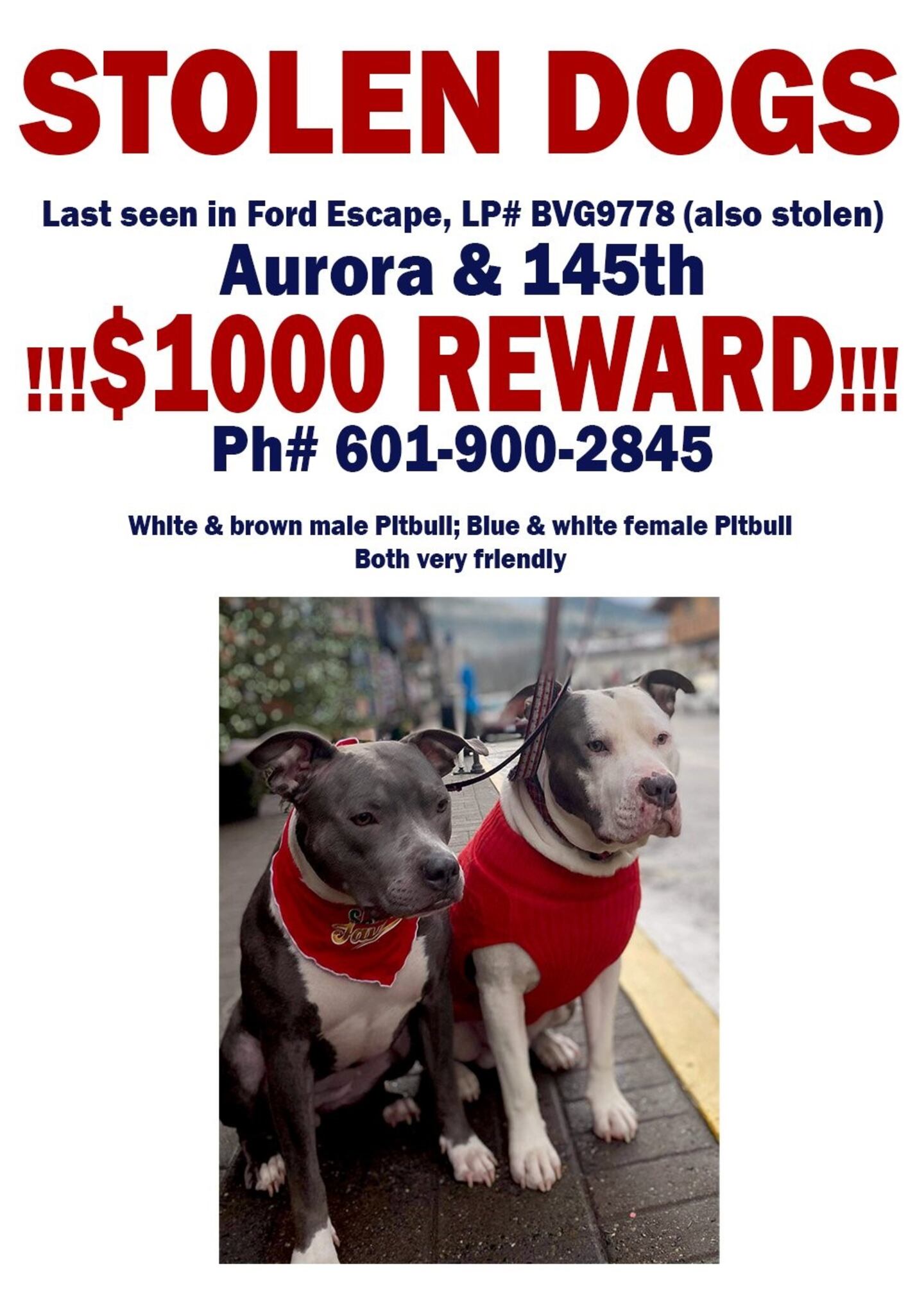 Stolen service dog flyer