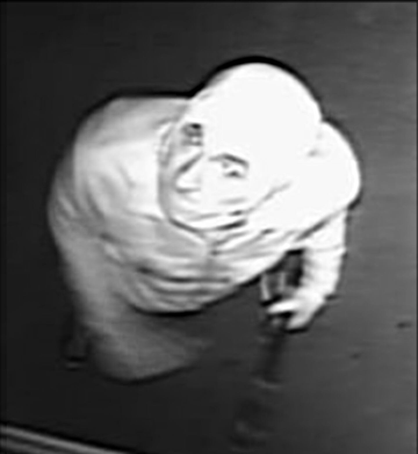 Suspect in Auburn gun burglary