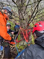 Quick thinking by rescuers helped save the life of a great Pyrenees mix named Yuki last week. The dog was stuck on a cliff ledge off the Pacific Northwest Trail in Whatcom County.