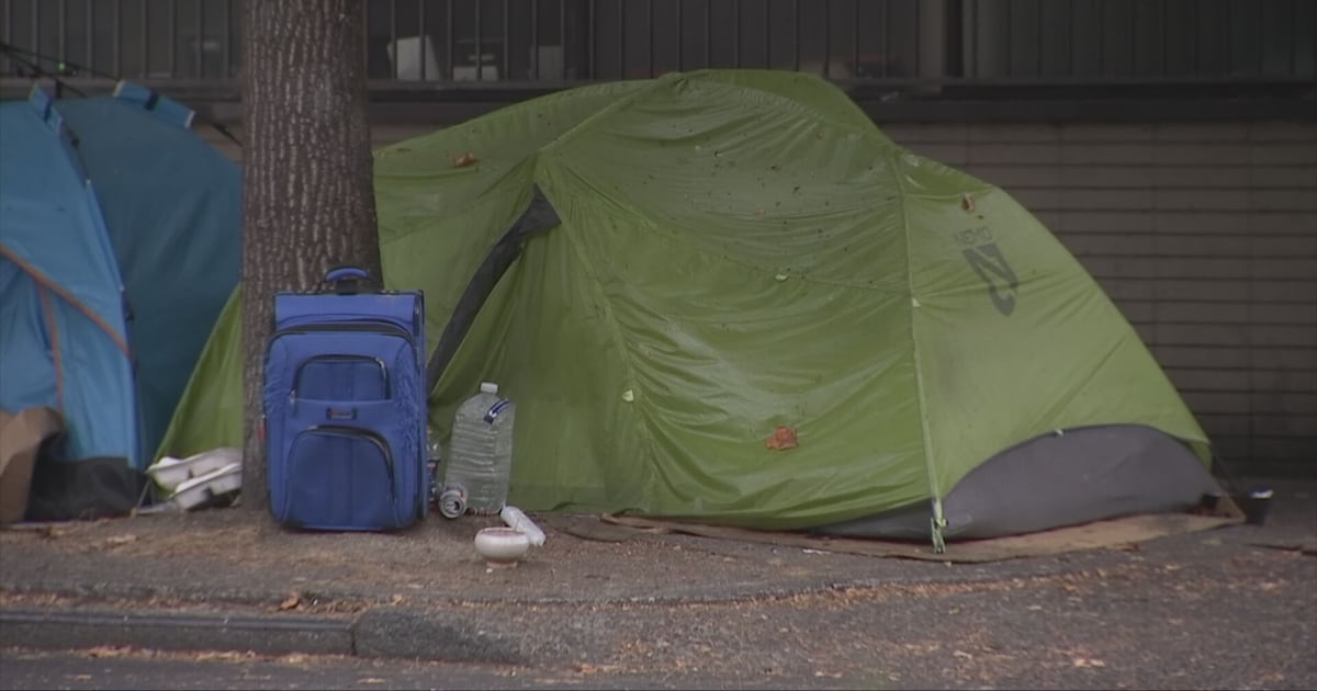 Regional homelessness authority will have budget slashed by 75%, layoffs after financial issues