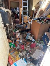 Nine shepherd-mix dogs were found inside a filthy, trash-filled home in the small Mason County community of Tahuya with their owner, who had been dead for 12 days.