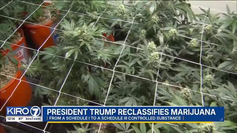 VIDEO: President Trump reclassifies marijuana
