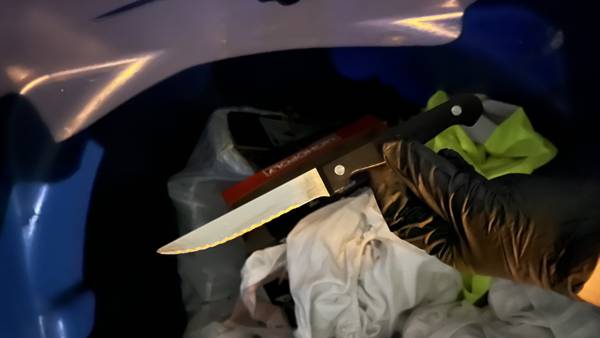 Woman arrested in Renton stabbing