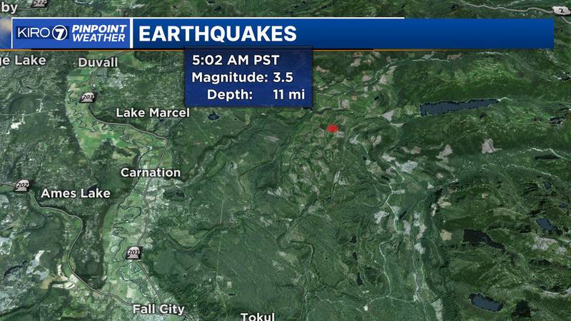 The earthquake shook east of Carnation.