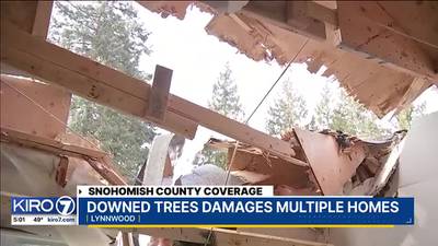 Costly cleanup facing North Sound residents after tree fell on 4 mobile homes