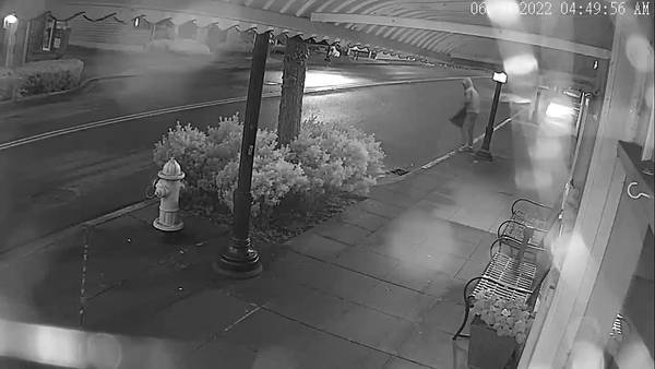 RAW: Surveillance video of Burien suspect tearing down 75 Pride flags