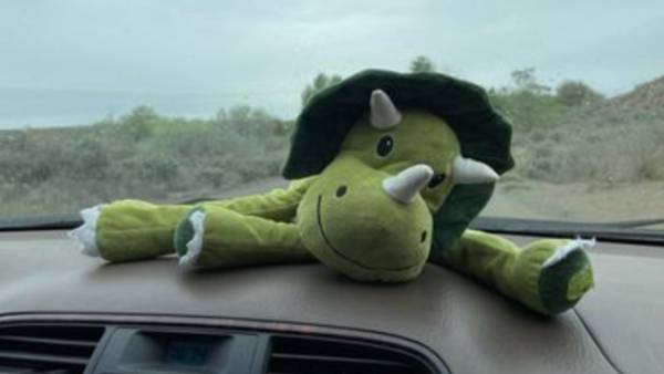 WSDOT helps find young owner of stuffed dinosaur that was found along I-90 