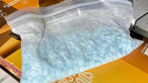 Lynnwood officers find hundreds of fentanyl pills inside car