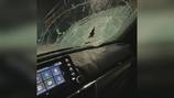 Rock thrown from overpass ‘decimates’ driver’s windshield in Fremont 