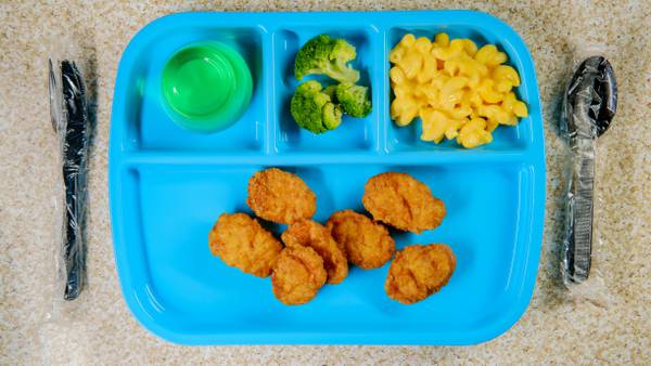 Recall alert: USDA releases list of schools that received BrucePac products