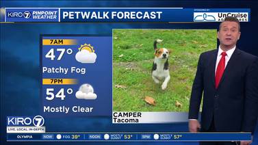 KIRO 7 Pet Walk Forecast for Tuesday