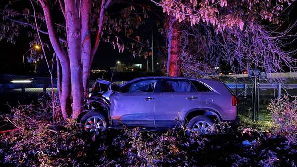 Driver killed in Renton when car hits tree