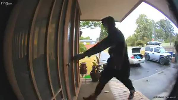 RAW: Skyway burglars caught on doorbell camera