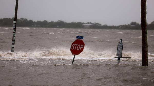 Hurricane Debby: Storm washes $1M in cocaine ashore 