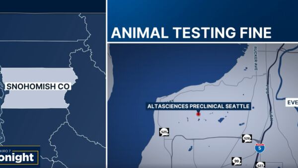Everett animal testing lab fined for animal welfare violations