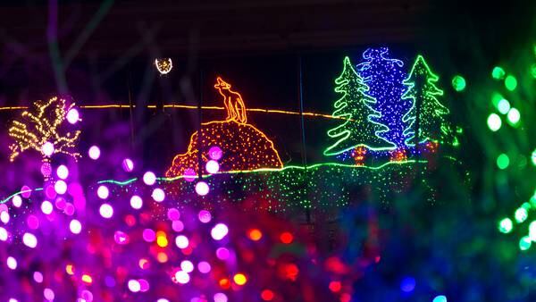 Tickets now on sale for Point Defiance Zoolights
