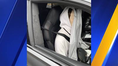 Using an ‘inhuman’ passenger in HOV lane comes with hefty fine