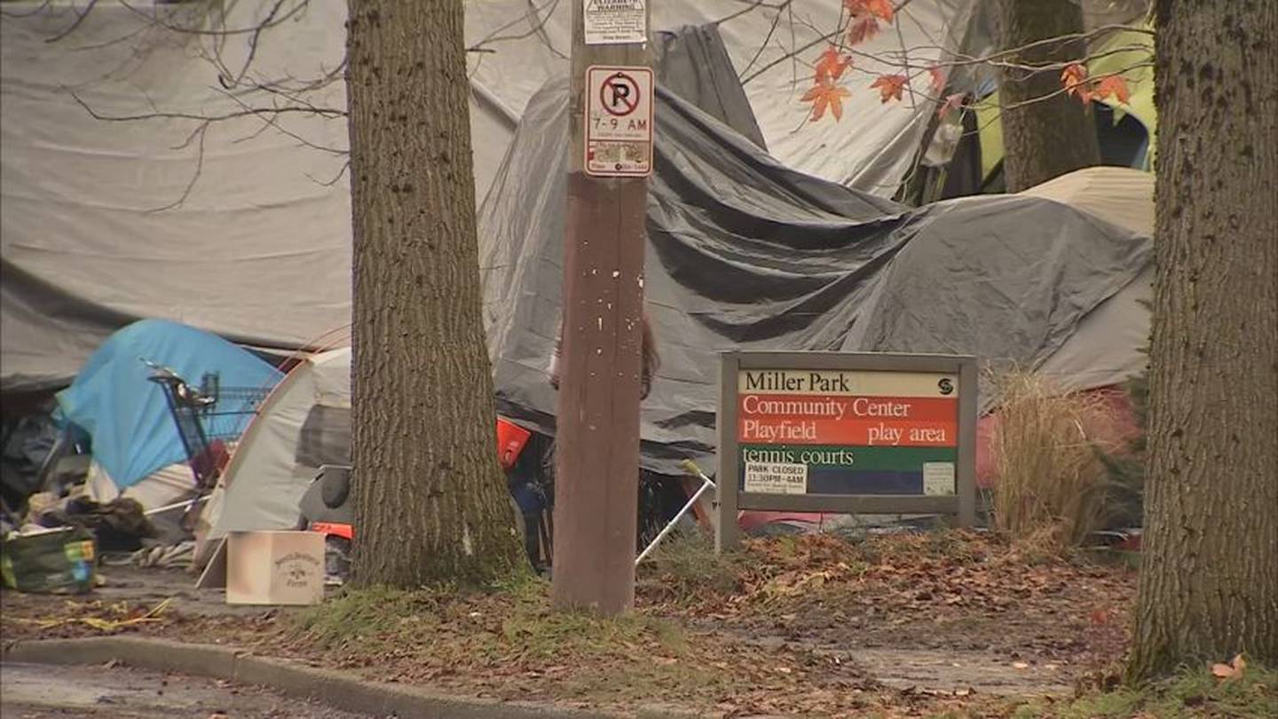 Neighbors Raise Safety Concerns As Homeless Camp Grows At Capitol Hill Park Kiro 7 News Seattle