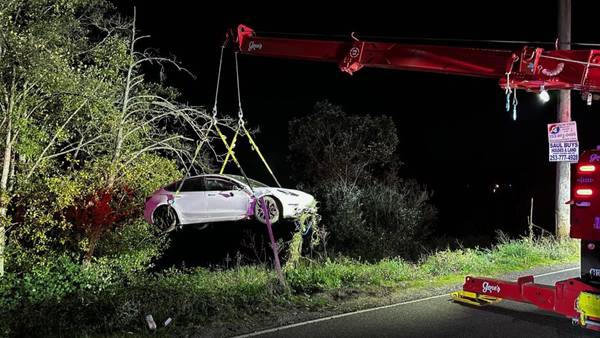 Driver sits atop Tesla after it ends up in Puyallup River