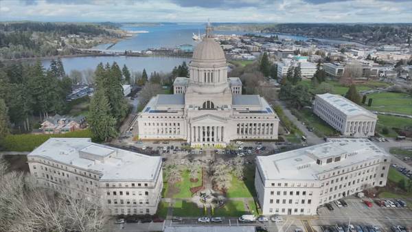WA State Senate passes assault weapons ban, brought upon by mass shootings