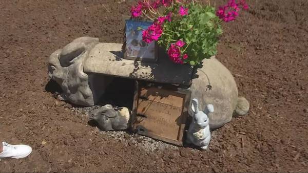 11 bunnies killed in tragic animal sanctuary fire in Renton