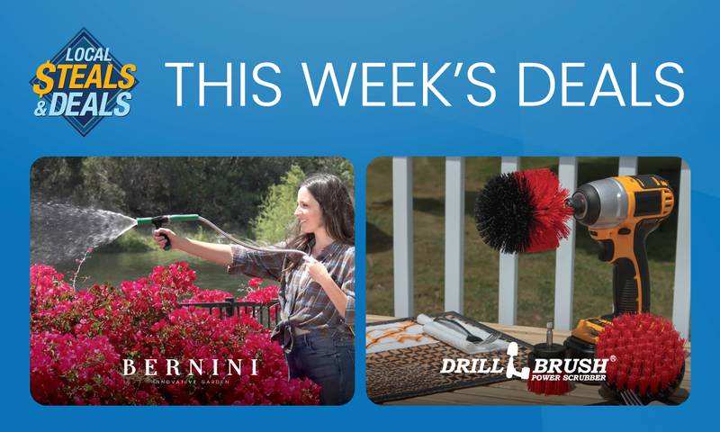 Revitalize Your Home with Bernini & Drillbrush!