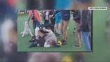 Caught on camera: Daylight brawl breaks out at Cal Anderson Park